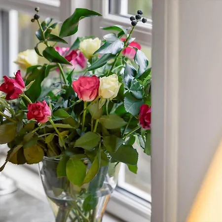 20329-samso-smedegade-8 *