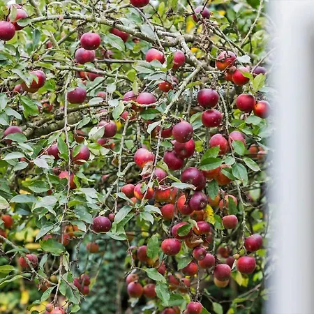 Holiday home 20329-samso-smedegade-8